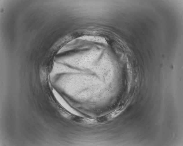 X0000081570333200702051220