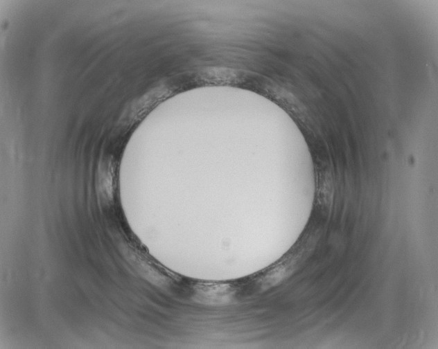 X0000081570334200702051220