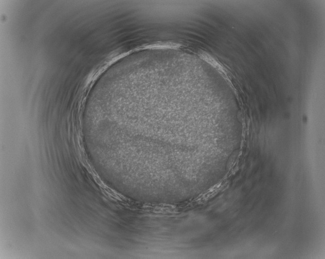 X0000081570337200702051219