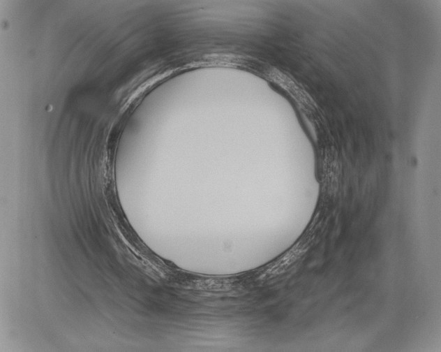 X0000081570338200702051219