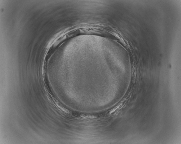 X0000081570340200702051220