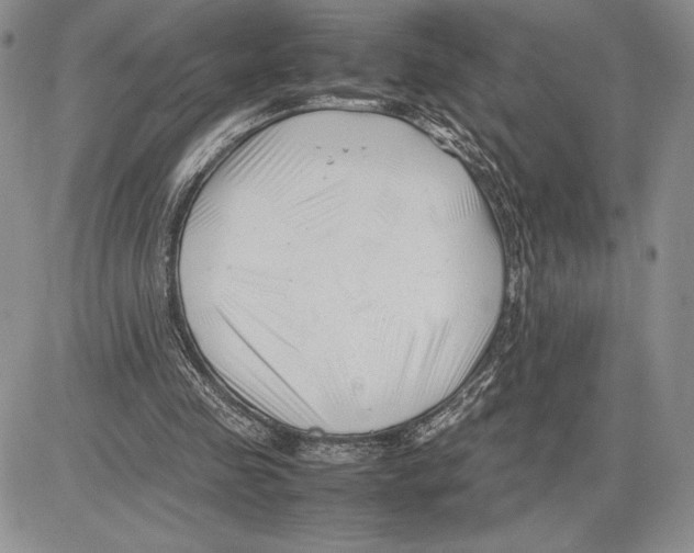 X0000081570341200702051220