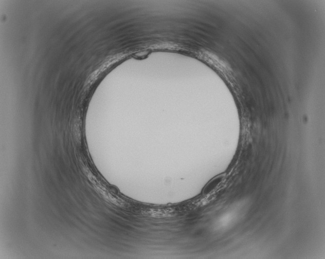 X0000081570345200702051220