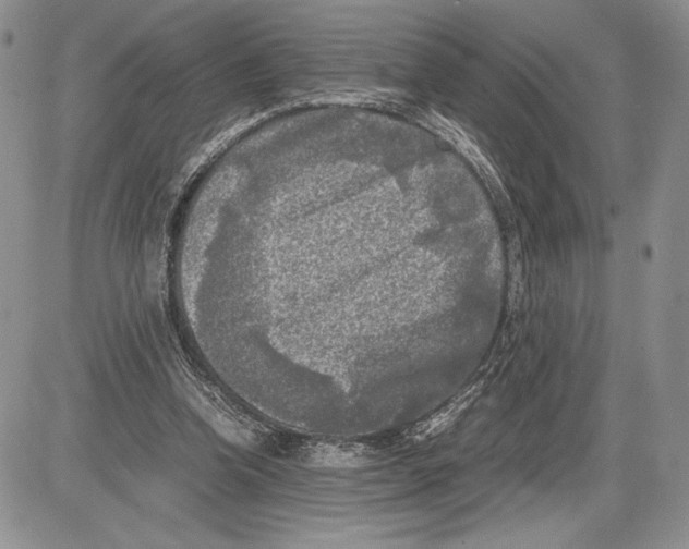 X0000081570346200702051220