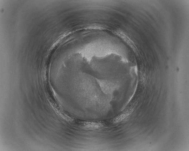 X0000081570347200702051220