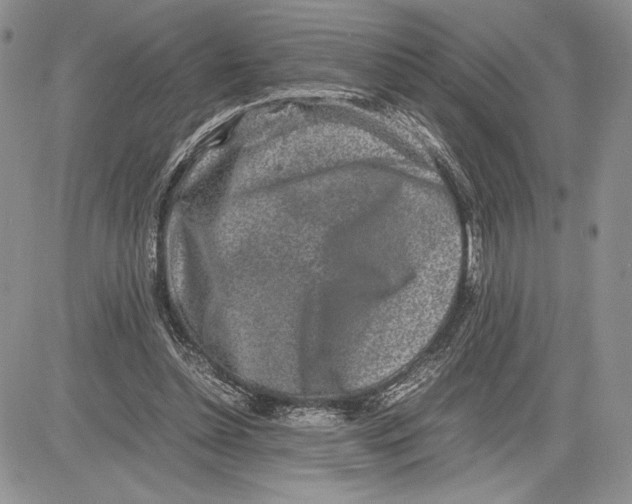 X0000081570348200702051220