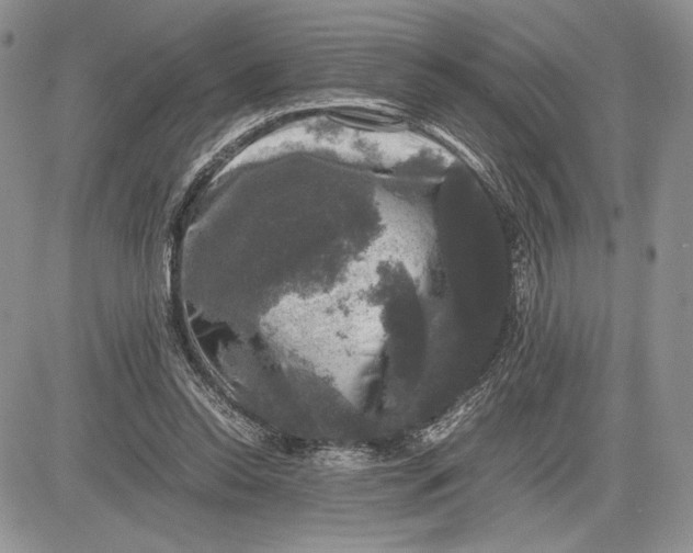 X0000081570350200702051220