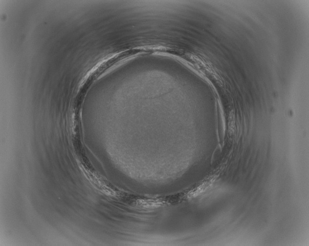 X0000081570351200702051220