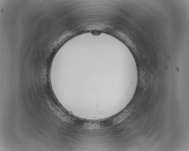 X0000081570354200702051220