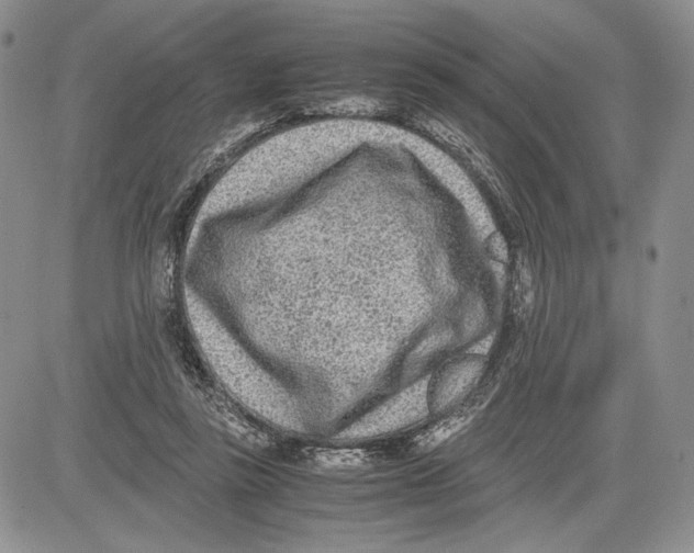 X0000081570355200702051220