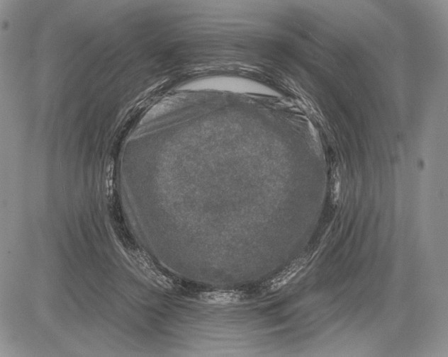 X0000081570356200702051220