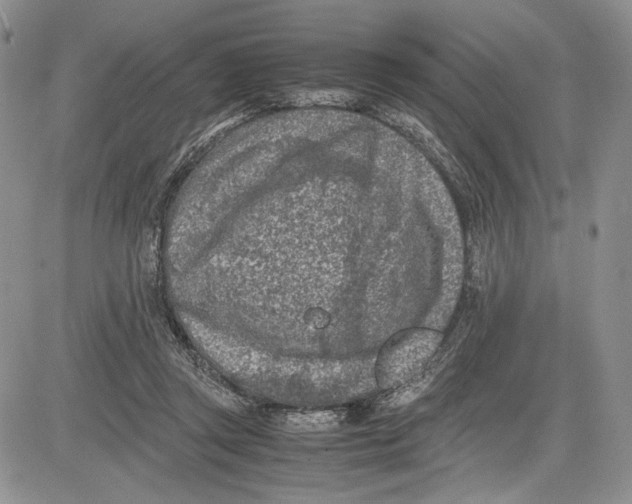 X0000081570357200702051220