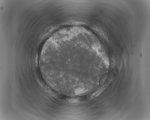 X0000081570358200702051220