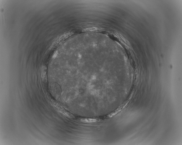 X0000081570361200702051220