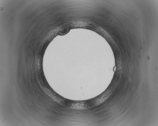 X0000081570362200702051220