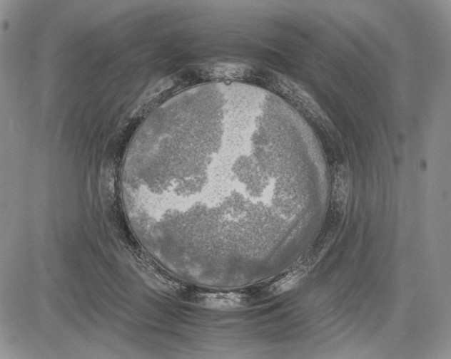 X0000081570363200702051220