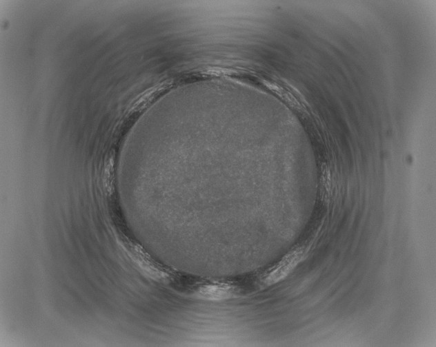 X0000081570364200702051220