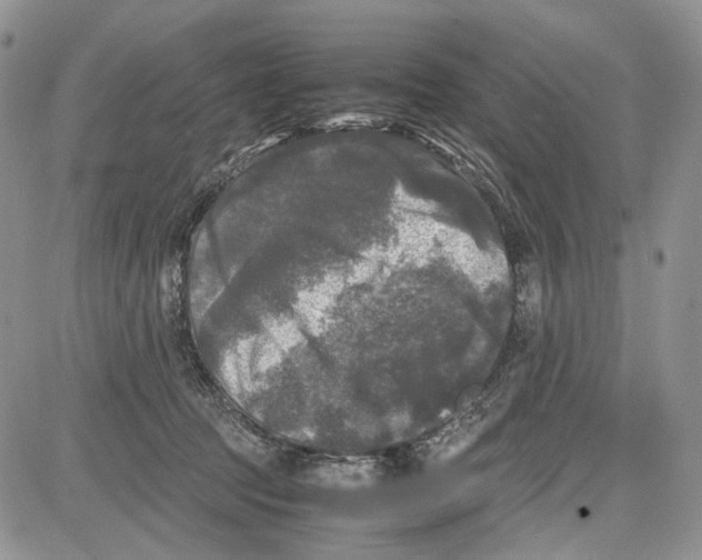 X0000081570369200702051220