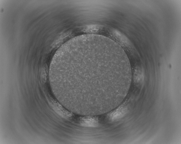 X0000081570370200702051220