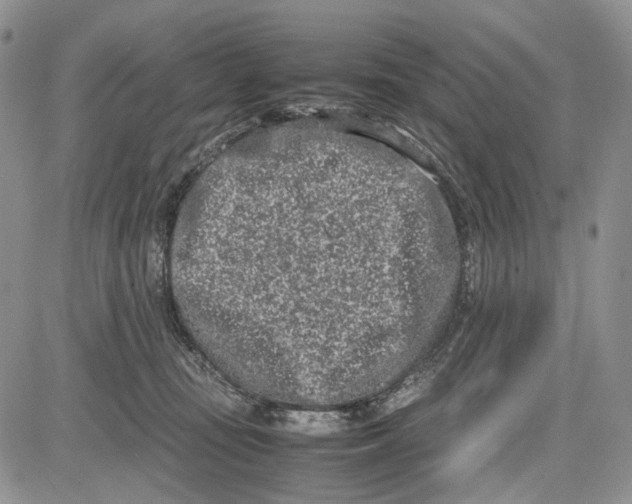 X0000081570371200702051220