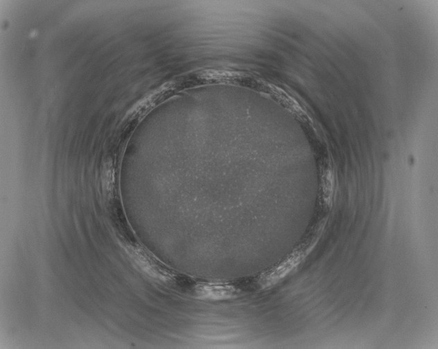 X0000081570372200702051220