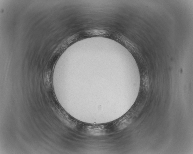 X0000081570373200702051220