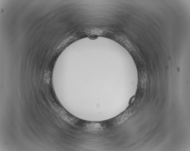 X0000081570374200702051220