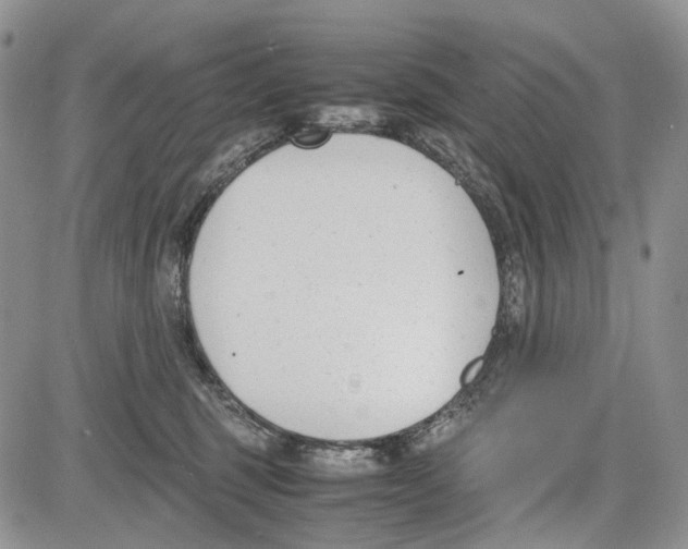 X0000081570375200702051220