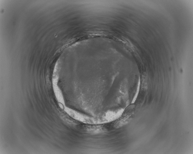 X0000081570377200702051220