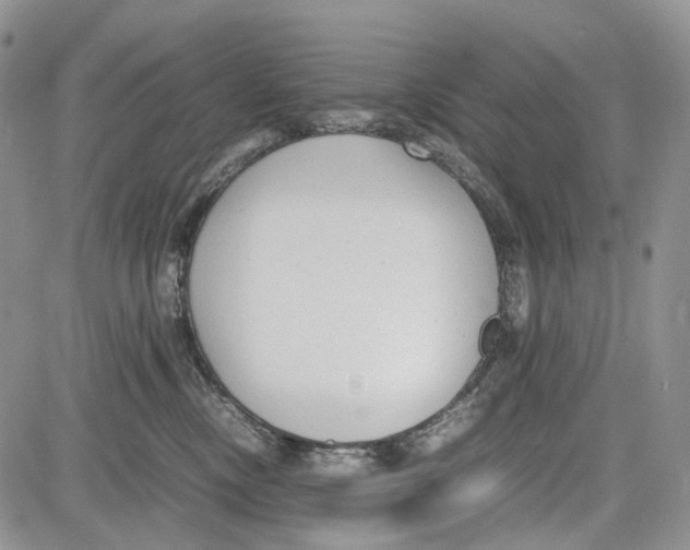 X0000081570378200702051220