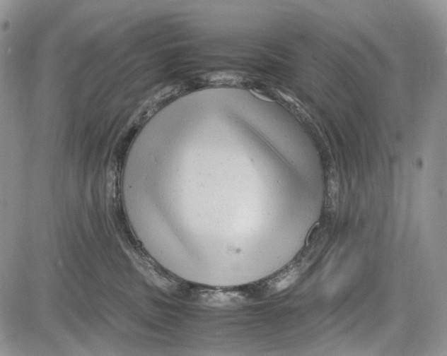 X0000081570379200702051220