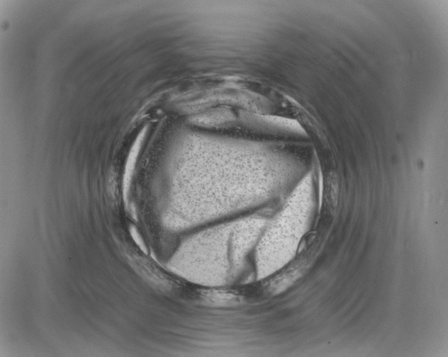 X0000081570380200702051220