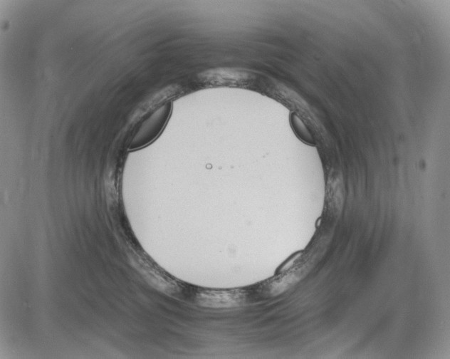 X0000081570381200702051220