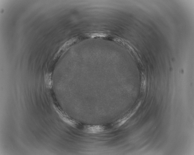 X0000081570383200702051220