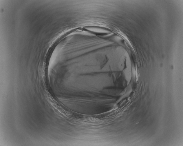 X0000081570387200702051219