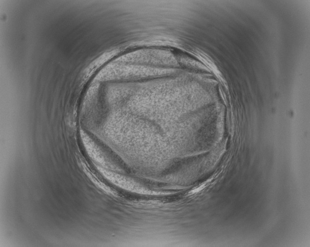 X0000081570389200702051219