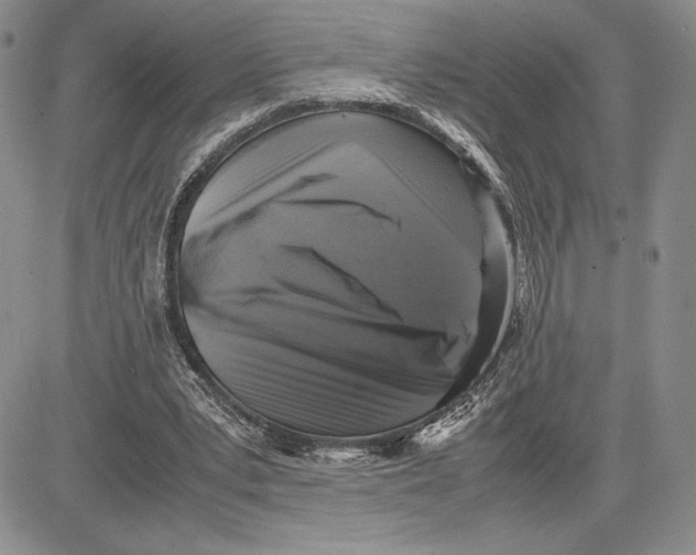 X0000081570391200702051219