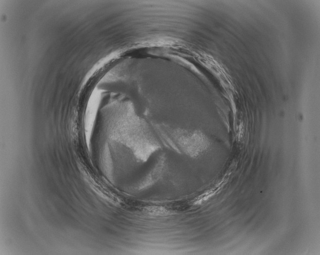 X0000081570392200702051219