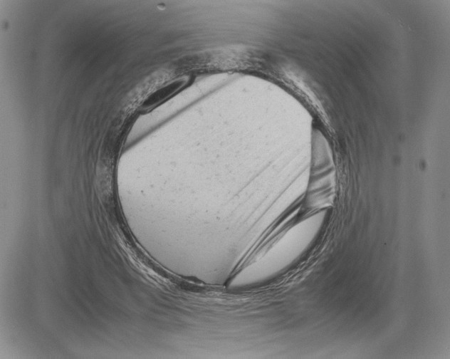 X0000081570393200702051219