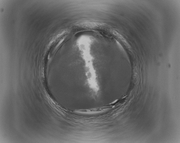 X0000081570399200702051219