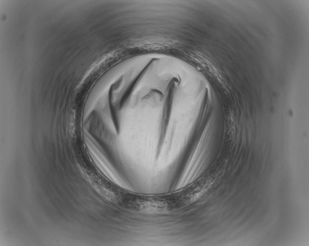 X0000081570400200702051219