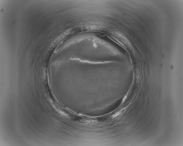 X0000081570401200702051219