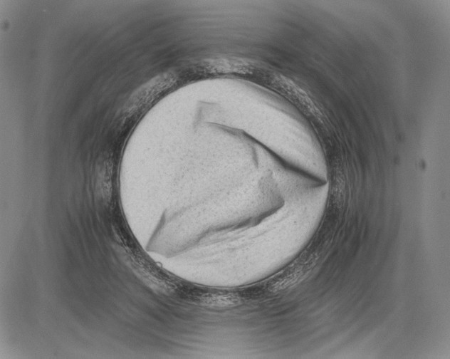 X0000081570402200702051219