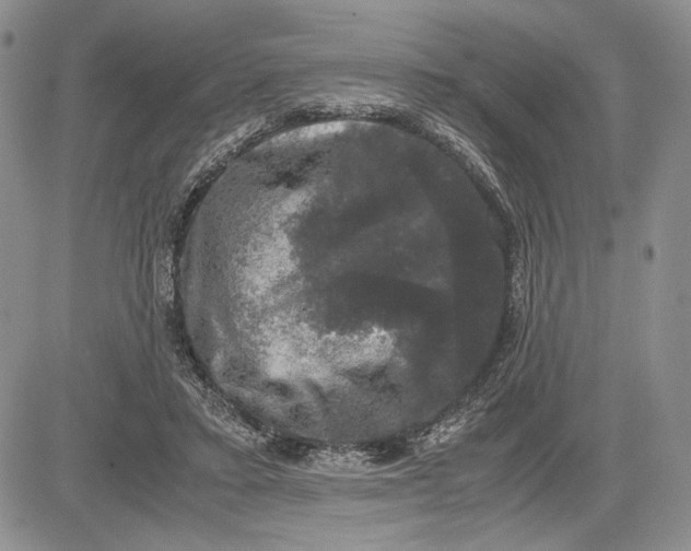 X0000081570403200702051219