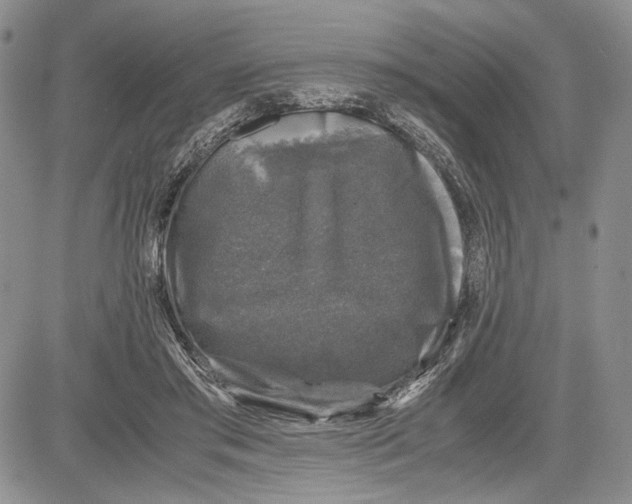 X0000081570405200702051219