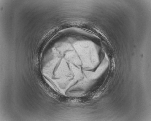 X0000081570407200702051219