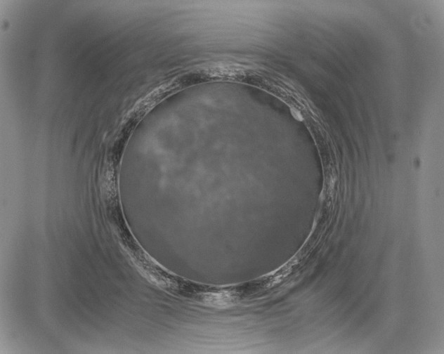 X0000081570411200702051219