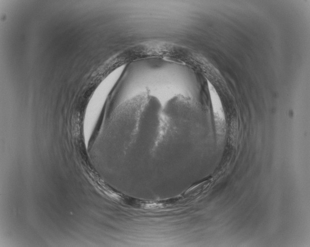 X0000081570413200702051219