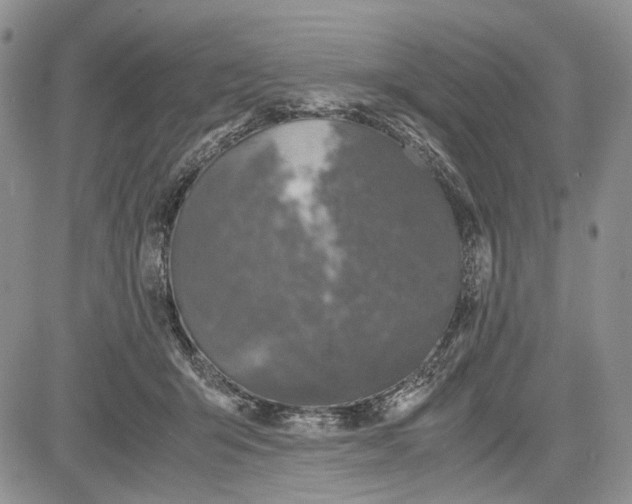 X0000081570415200702051219