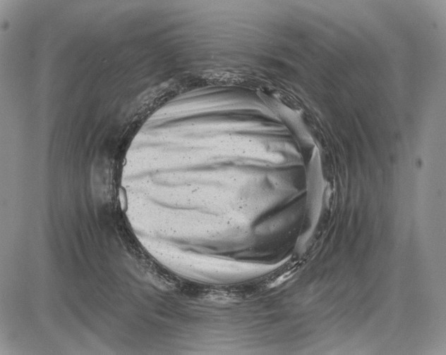 X0000081570416200702051219